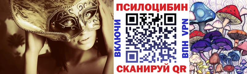 Галлюциногенные грибы Psilocybine cubensis  Купить где  Ряжск 